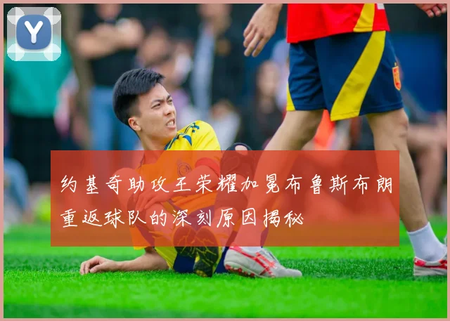 约基奇助攻王荣耀加冕布鲁斯布朗重返球队的深刻原因揭秘