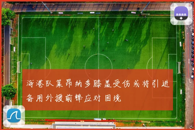 海港队莱昂纳多膝盖受伤或将引进备用外援前锋应对困境
