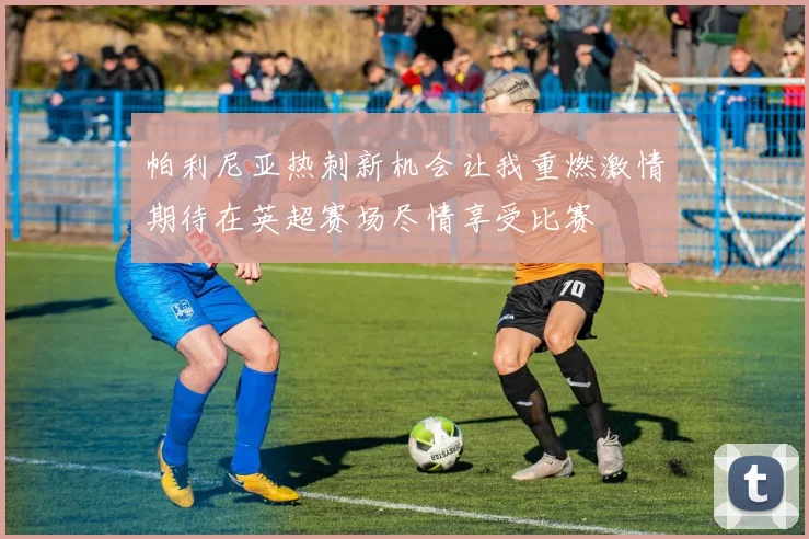 帕利尼亚热刺新机会让我重燃激情期待在英超赛场尽情享受比赛